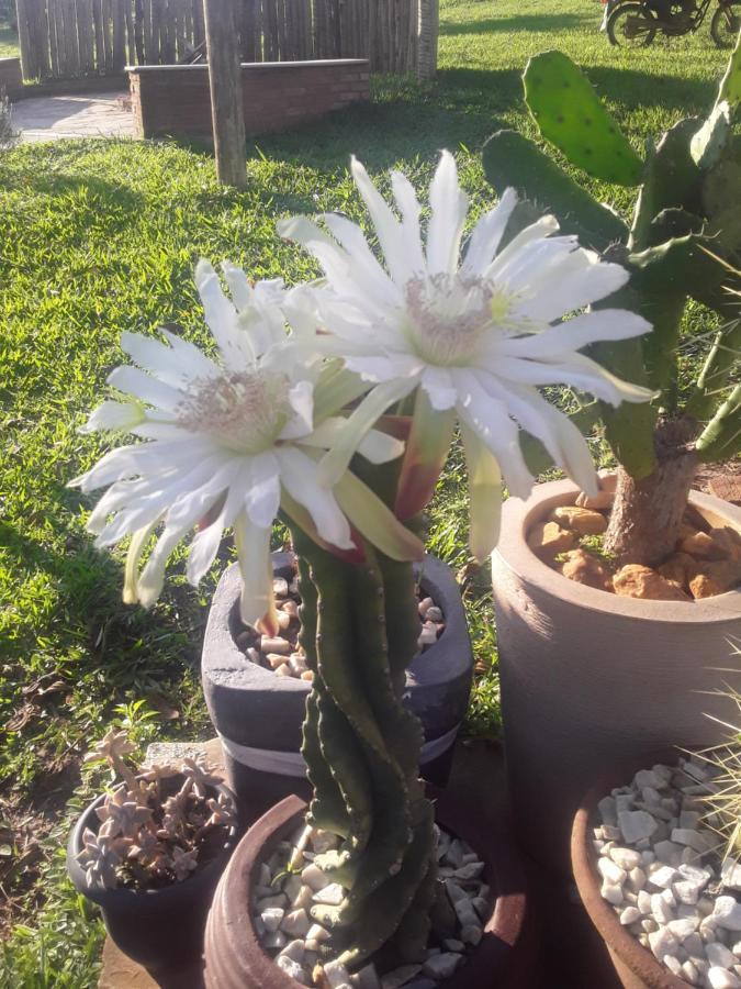 Recanto das Flores São Tomé das Letras Exterior foto